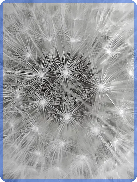 술양주 사기 조심하라 자영업자들이 말하는 법