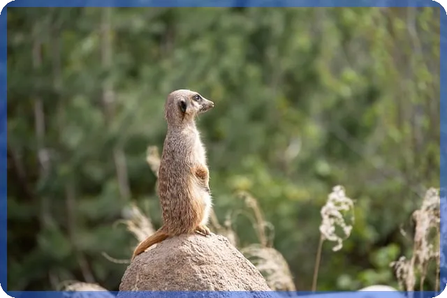 술양주 사기 조심하라 자영업자들이 말하는 법