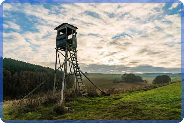 인디에프 주가 급등과 쌍용건설주가 전망 분석