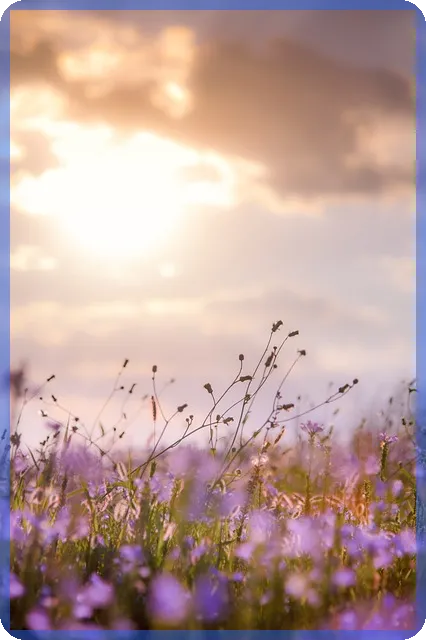 인천청년지원금 자격과 신청법 완전 정리