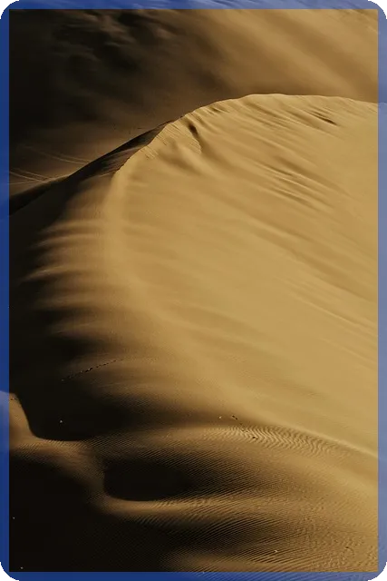 은행 업무시간 및 적금예금비교 최신 정보