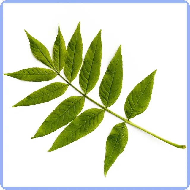 15억아파트대출 규제 강화로 부동산시장 충격 예상