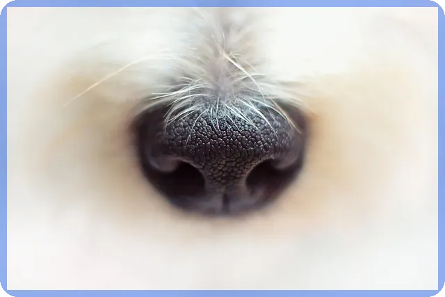 4세대실손보험 비급여 주사 보험금 청구 쉽게 배우기