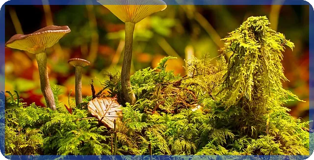 4세대실손보험 비급여 주사 보험금 청구 쉽게 배우기