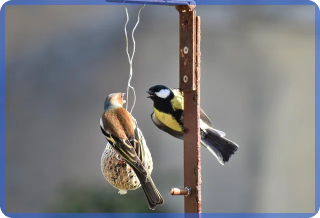 개인연금저축소득공제 최대 혜택 받기 방법
