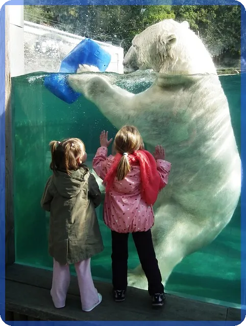 개인연금저축소득공제 최대 혜택 받기 방법