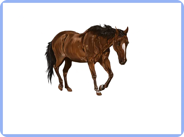 그림재테크 투자전략으로 주식시장과 차별화하는 방법은