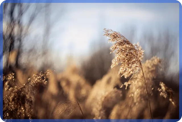 그림재테크 투자전략으로 주식시장과 차별화하는 방법은
