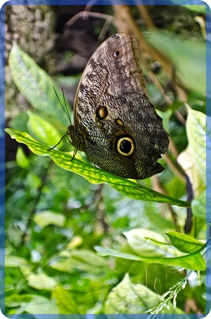 대출모집인조회로 빠른 단기자금 해결 전략