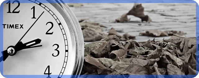 민생 회복 지원금 2 차 신청일 확인 필수 가이드