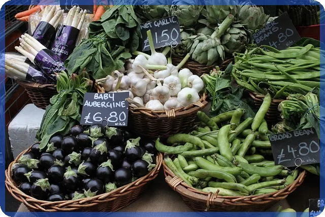 민생 회복 지원금 2 차 신청일 확인 필수 가이드