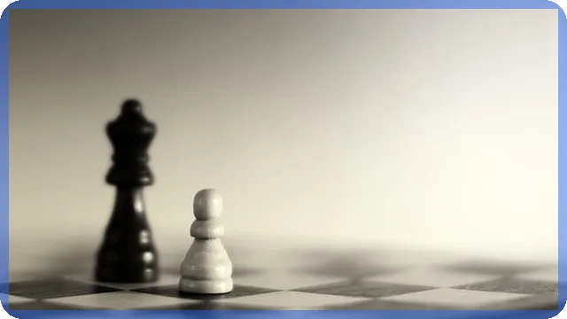 삼성전자주가전망 향후 기대와 투자 전략 분석