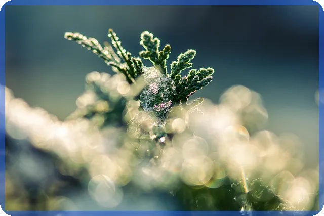 삼성전자주가전망 향후 기대와 투자 전략 분석