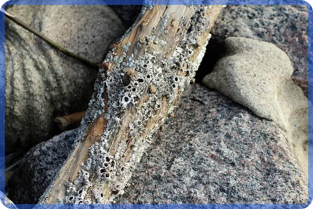 상주시경매 부동산 핵심 분석과 낙찰전략