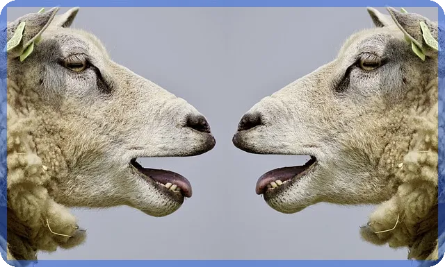 신인작가그림으로 현대미술 새 지평 열기