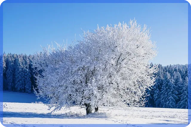 신인작가그림으로 현대미술 새 지평 열기