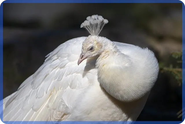 신축아파트대출 필수 체크 리스트와 실전 전략