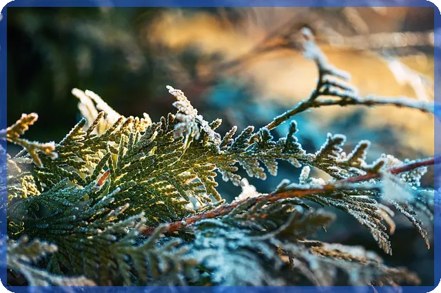 예탁증권담보대출 중단의 핵심 원인과 대책