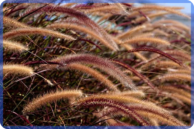 우리은행사업자대출 활용 전략과 혜택 분석