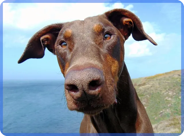 저축은행예금금리비교로 최고의 금리 찾기