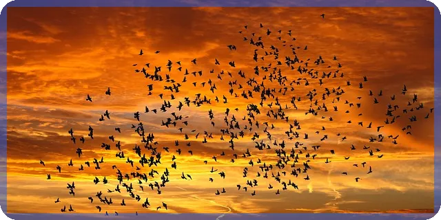 저축형보험과 투자형보험 차이와 선택 가이드