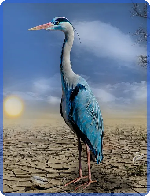 증권시세 실시간 확인 전략과 모바일 활용법