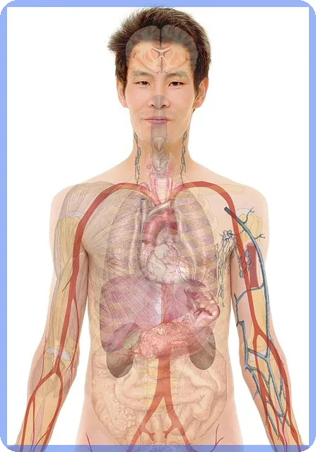 직장인추가대출 성공 사례로 알아보는 추가담보대출 전략