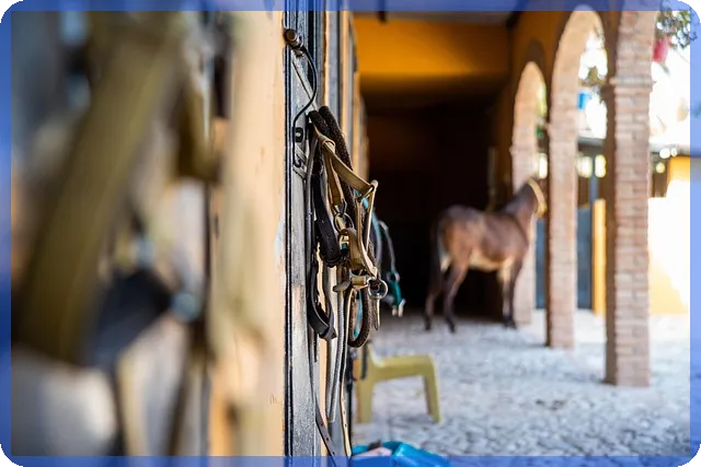 직장인추가대출 성공 사례로 알아보는 추가담보대출 전략