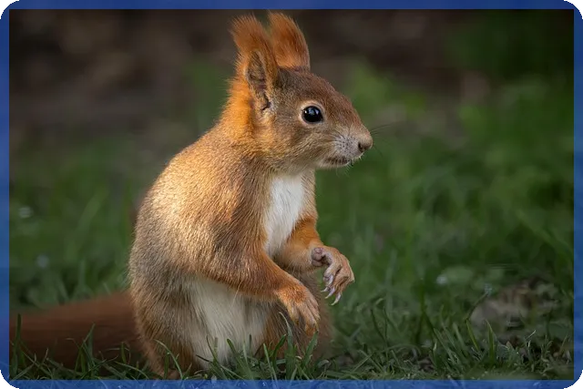 차상위대출로 주거 안정 확보하는 방법