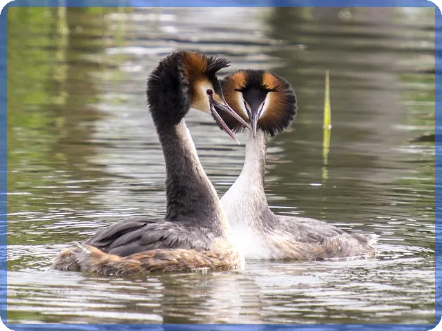 토지소액투자 쉽게 시작하는 함안 부동산 전략