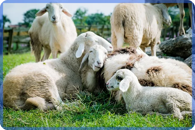 토지소액투자 쉽게 시작하는 함안 부동산 전략