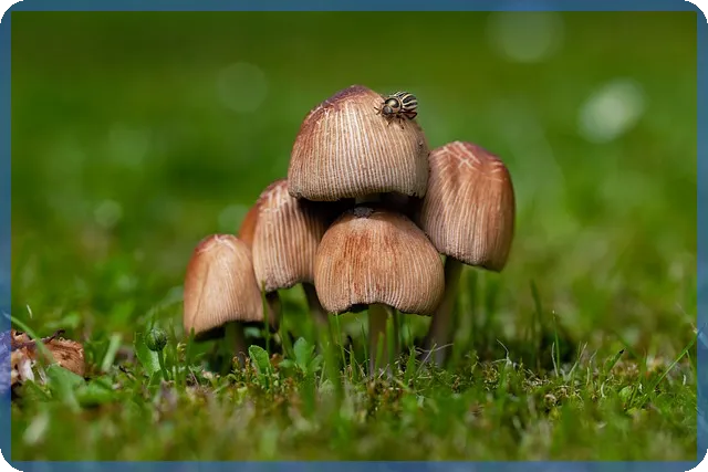 토지소액투자 쉽게 시작하는 함안 부동산 전략