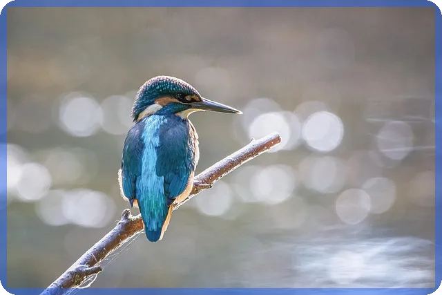 포항일수 창업 성공 전략과 최신 동향