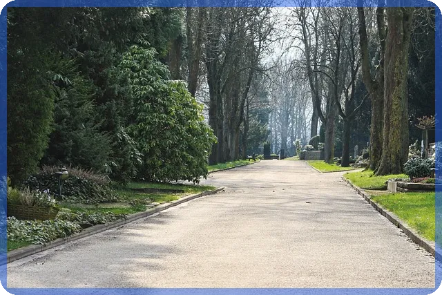 포항일수 창업 성공 전략과 최신 동향