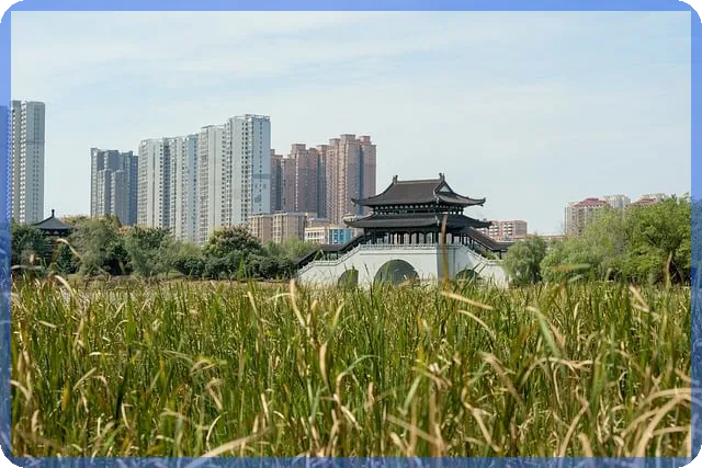 연금저축수령액 예측과 절세 전략 핵심 가이드